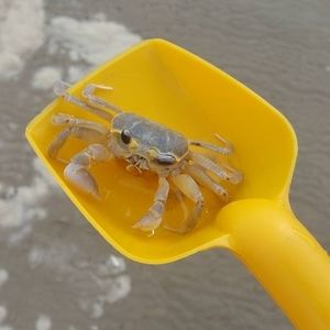 Meet your Posher, Clayton